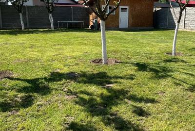 Casă cu 4 camere cu Canalizare în Torontalului - 18