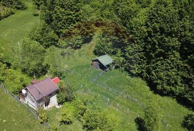 Comision 0%! Proprietate in natura, priveliste superba, S... - 2