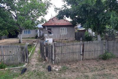 Casă cu Teren 2500 Mp în Terchești - 5
