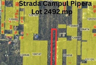 Teren - Campul Pipera - 1