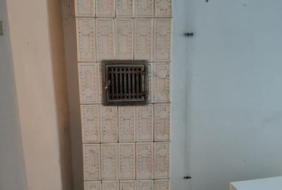 Casă individuală cu 12 camere cu Teren 160 Mp în Dorobanți - 23