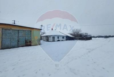 Casă cu 5 camere cu Teren 7531 Mp în Sacu - 2