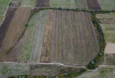 Teren agricol de 34.500mp in Albina, Jude?ul Timi? - 4