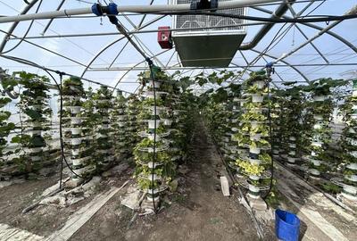 De vanzare-afacere la cheie - 6