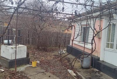 Teren Construcții intravilan de 5200 mp, în Goruni - 7