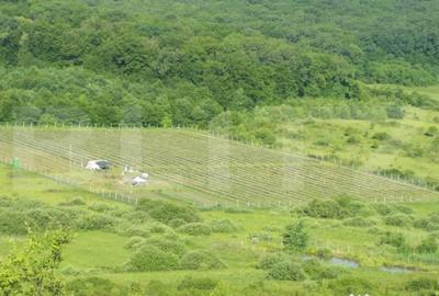 Teren în Central - 1