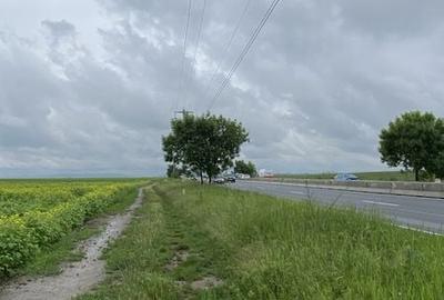 Teren de 10000 mp, în Păulești - 4
