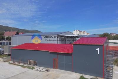 Hala de inchiriat 280 mp - Piatra Neamt - 1