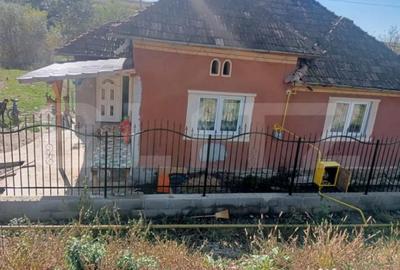 Casă cu 2 camere cu Teren 1500 Mp în Central - 3