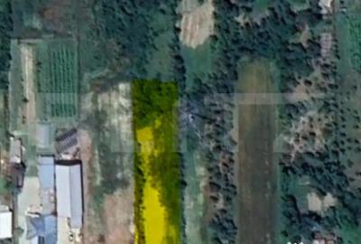 Teren de 2500 mp, în Central