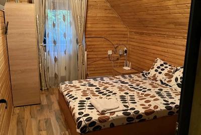 Cabana de inchiriat ranca - 2