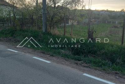 Teren intravilan 1800 mp – Șutu, comuna Ciurila - 5