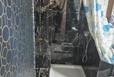 Garsonieră nedecomandată în Buziașului - 1