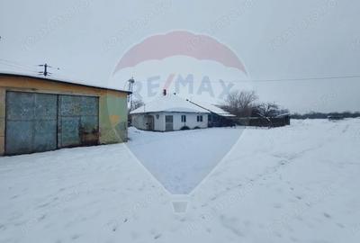 Casă cu 5 camere cu Teren 7531 Mp în Sacu - 7
