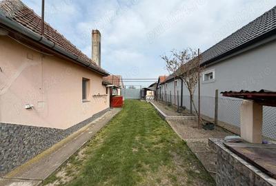 Casă cu Teren 2248 Mp în Tulca - 4