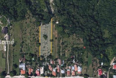 4898 MP Teren Intravilan | Prahova - Cornu De Jos | Toate Ut - 3