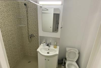 Garsonieră decomandată în Brazda lui Novac - 1