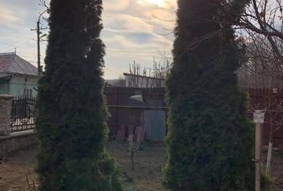 Casa de vanzare Baile Govora - 3