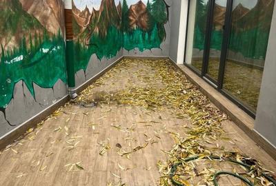 Apartament cu 3 camere semidecomandat, mobilat în Decebal - 15