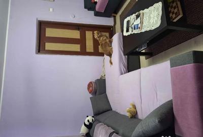 Casă cu 3 camere în Traian - 5