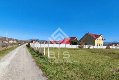 Teren 800 mp - Unirea - 7