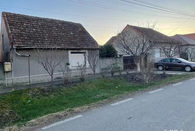 Casa de vanzare Curtici - 10