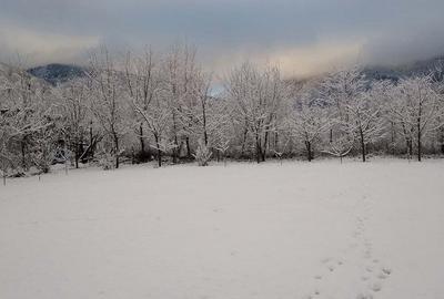 Casă cu 5 camere în Dejani - 7