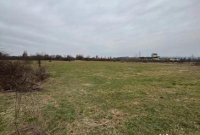 Teren în Lăpuș - 2