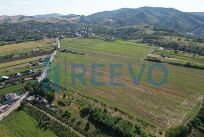 Teren de vanzare, Com. Sarata, Jud. Bacau - 4