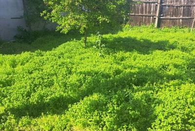 Casă cu 3 camere cu Teren 339 Mp în Central - 6