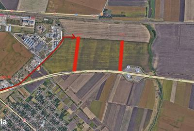 Teren de 26800 mp, în Lehliu - 6