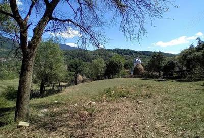 De vanzare teren intravilan in zona de munte - 4