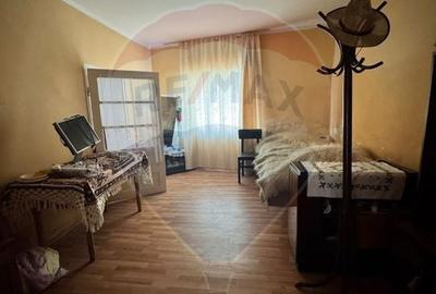 Casă cu 4 camere cu Teren 1412 Mp în Petrova - 6