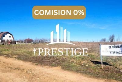 Teren agricol extravilan de 873 mp, în Șura Mică - 4