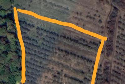 Teren de 11600 mp, în Baciu - 1