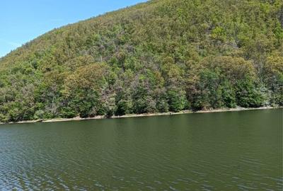 Spațiu comercial, în Cinciș-Cerna - 3