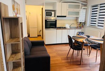 Apartament cu 2 camere semidecomandat, mobilat în 1 Mai - 3