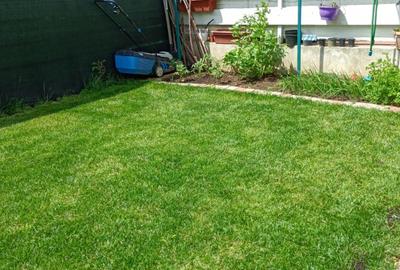 CASA VALEA LUPULUI,3 CAMERE, 2 BAI, VALEA LUPULUI-500 M MALL MOLDOVA - 3