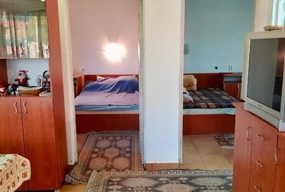 Casa si teren de vanzare (6000 mp) - 3