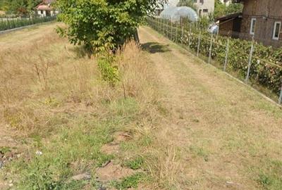 Teren Construcții intravilan de 1486 mp, în Snagov - 4