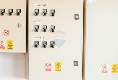 DE VANZARE una dintre cele mai moderne plantatii de afin din Romania - 15