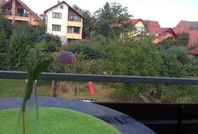 Apartament cu 4 camere decomandat, mobilat în Între Lacuri - 22