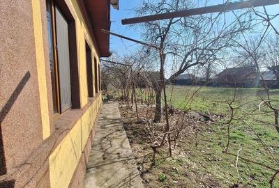 Casă cu 6 camere cu Teren 1341 Mp în Frumușani - 8