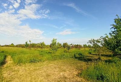 Teren de 50000 mp, în Zorile - 5