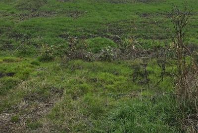 Teren de 2500 mp, în 1 Decembrie - 3