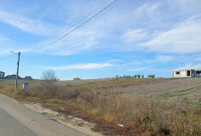 Teren 6.000 mp in Peri?, aproape de Bucure?ti ideal pentru locuin?a sau investi?ie - 7