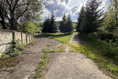 Teren de 115367 mp, în Runcu - 4