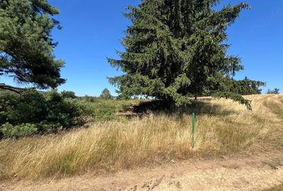 Teren de 4290 mp, în Gărâna
