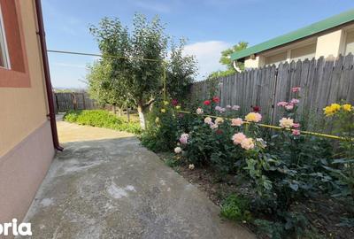 Casă cu 7 camere cu Teren 1388 Mp în Bradu - 2