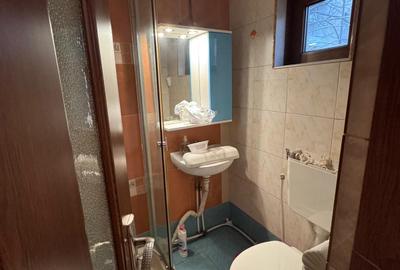 Casa P+1 / 5 camere Parcul Carol, curte 300mp - 12